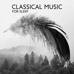 Classical Music for Sleep (Bedtime Meditation &amp; Relaxation)