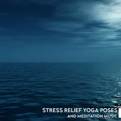 Evening Yoga Stretch