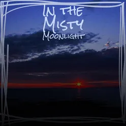 In the Misty Moonlight