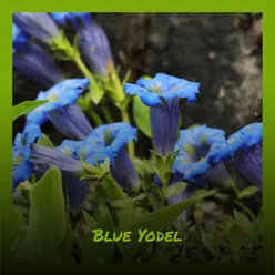 Blue Yodel