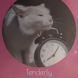 Tenderly