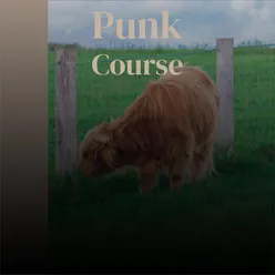 Punk Course