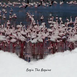 Begin The Beguine