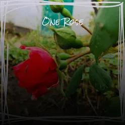 One Rose