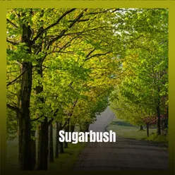 Sugarbush