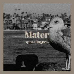 Mater Appealingness