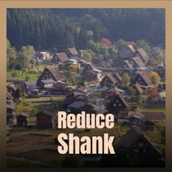 Reduce Shank