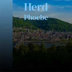 Herd Phoebe