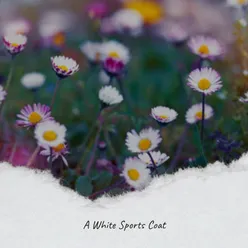 A White Sports Coat