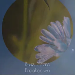 Blue Grass Breakdown