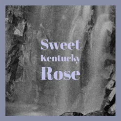 Sweet Kentucky Rose