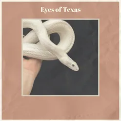 Eyes of Texas