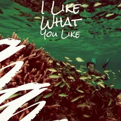 I Like What You Like