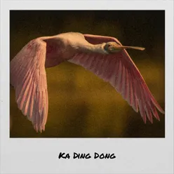 Ka Ding Dong