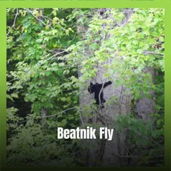 Beatnik Fly