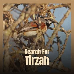 Search For Tirzah