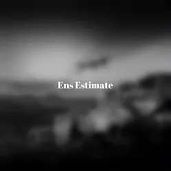 Ens Estimate