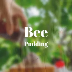 Bee Pudding