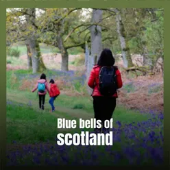 Blue bells of scotland
