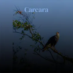 Carcara