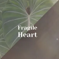 Fragile Heart