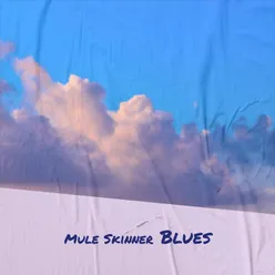 Mule Skinner Blues