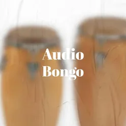 Audio Bongo