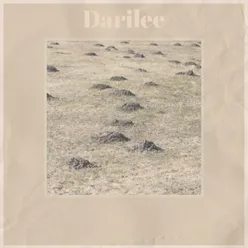 Darilee