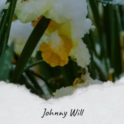 Johnny Will