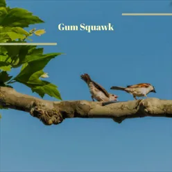 Gum Squawk