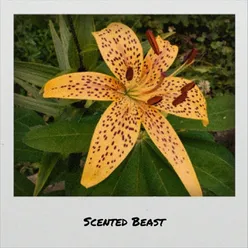 Scented Beast