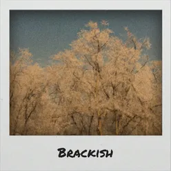 Brackish