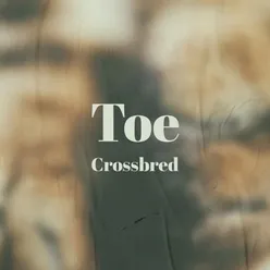 Toe Crossbred