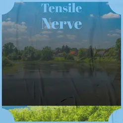 Tensile Nerve