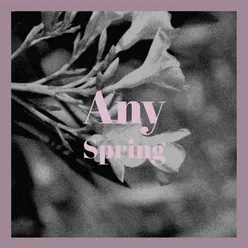 Any Spring