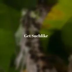 Get Suchlike
