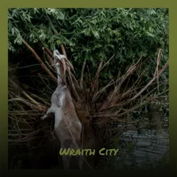 Wraith City