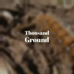 Thousand Ground