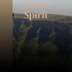 Tensile Spirit