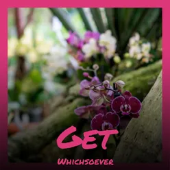 Get Whichsoever