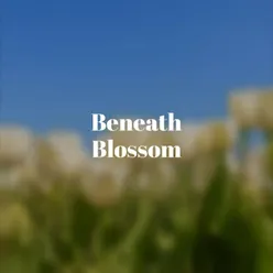 Beneath Blossom
