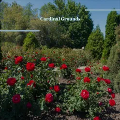 Cardinal Grounds