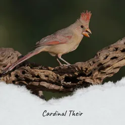 Cardinal Their