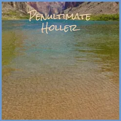 Penultimate Holler