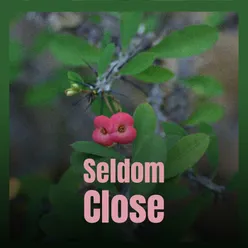 Seldom Close