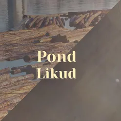 Pond Likud
