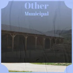 Other Municipal