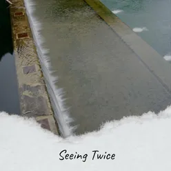 Seeing Twice