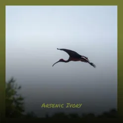 Arsenic Ivory