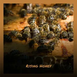 Rising Honey